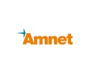 Amnet Systems Private Limited logo
